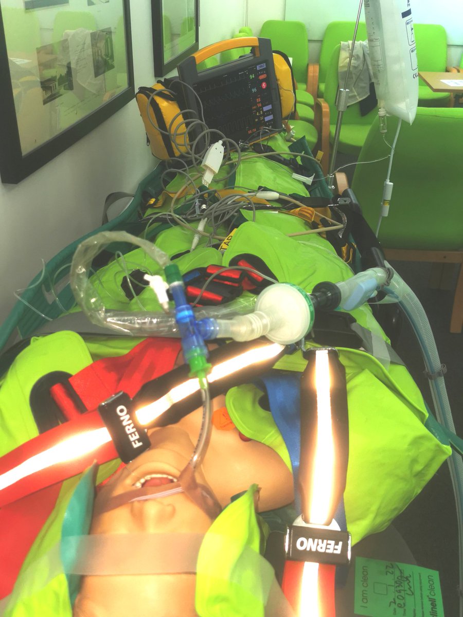 Rowan 💙 tweet media