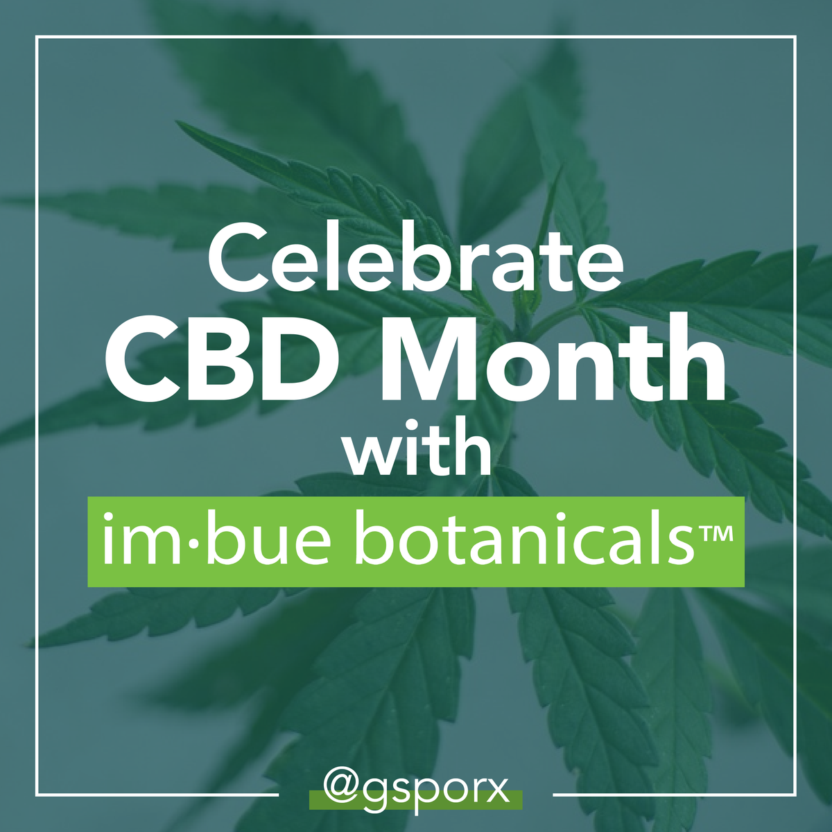 GSPOInc's tweet photo. Check out our friends at Imbue Botanicals to celebrate CBD Month!

CBD can:
🩹 provide pain relief
🧠 help manage headaches
❤️‍🩹 reduce feelings of anxiety

For more info, check out https://t.co/aVtfWuGFjc https://t.co/qip67cQEW4