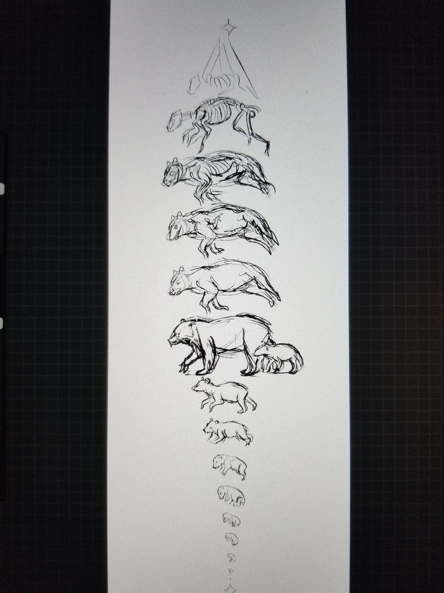 Next one is a 🐻 