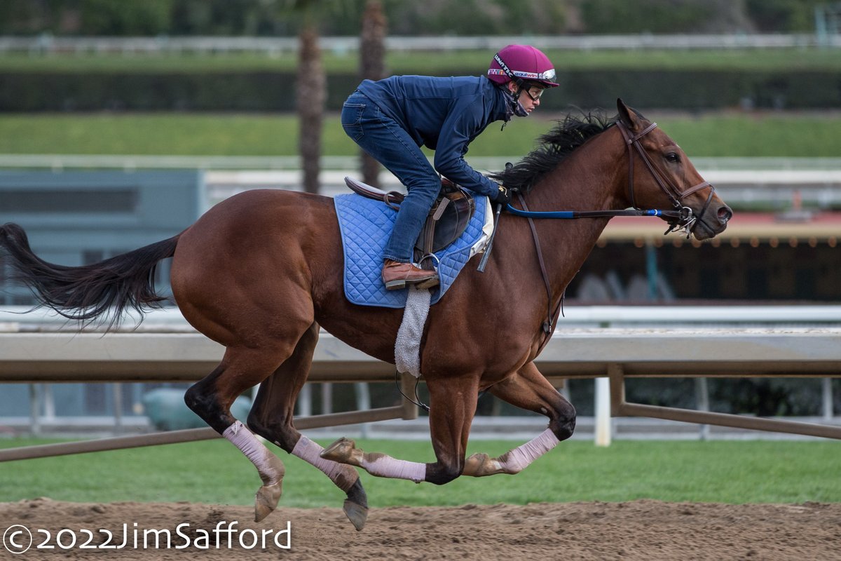Smugglers Run working yesterday with Flavien Prat in the irons 3F in 38.80 @santaanitapark @KMNRacing