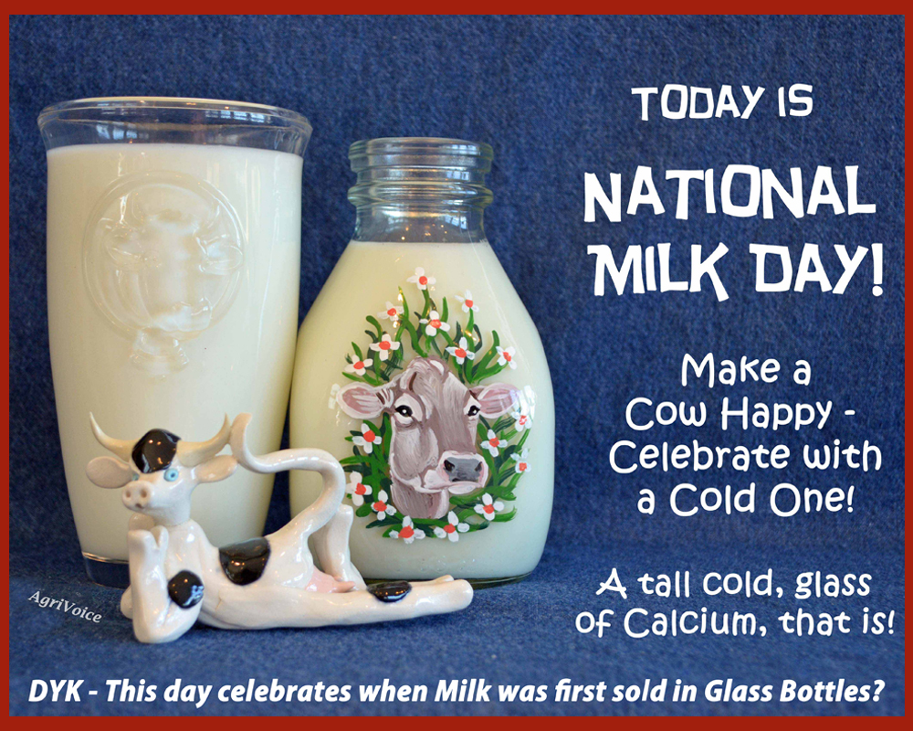 foodsheds's tweet photo. Have a Cold One on a Cow! #NationalMilkDay recognizes the game-changer of milk being delivered in glass bottles (in NY, 1878)! With that, a natural nutritional powerhouse made it easier to consumers! Even better w/ #LocalMilk from your neighborhood! More: https://t.co/bs84KqMN66 https://t.co/8Ht4eGHIk3
