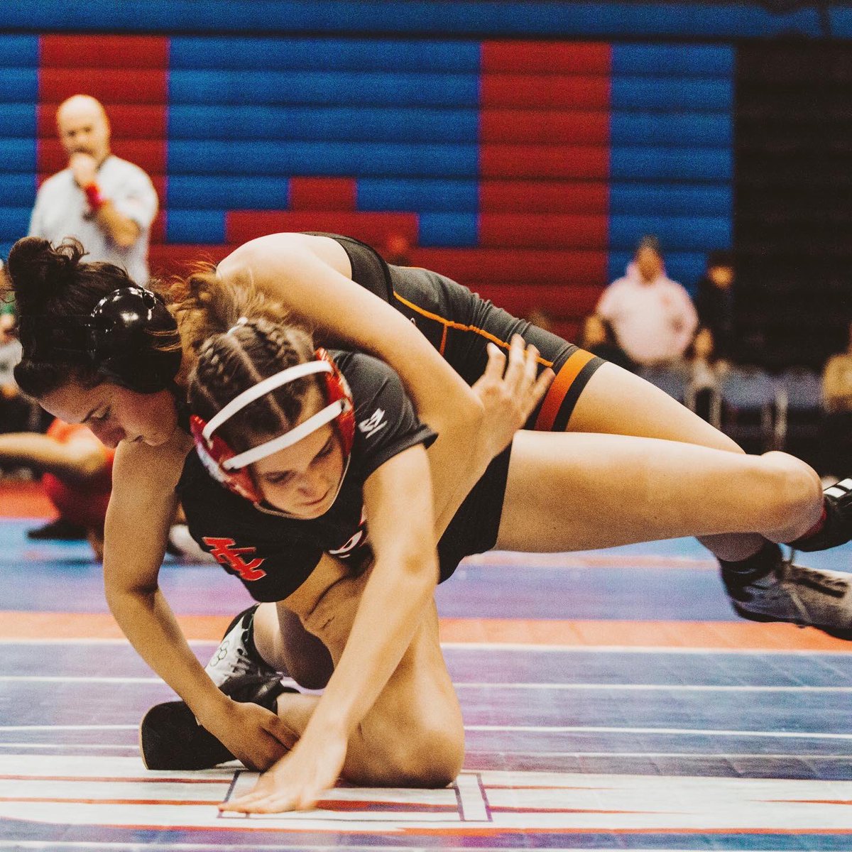 cojo_coach's tweet photo. I am so proud of them. By the time they make it to state next weekend, they will have fought through so much more than just the hard work it already takes to be a wrestler and they will always be a huge part of paving the way for the next generation of young ladies 🥇❤️❤️ https://t.co/yyeFhAgu0t