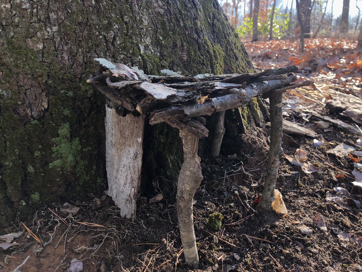DayvidWells's tweet photo. Today in class we made fairy houses! Hoping it’ll keep me dry when it rains #ElonEd #COR4240 https://t.co/mwAuJgAqLP