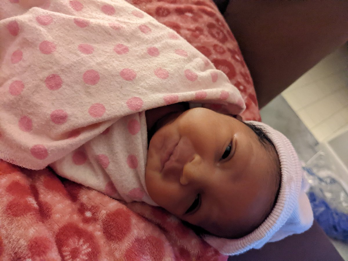 Tedley™ 🇭🇹🇺🇸 tweet media