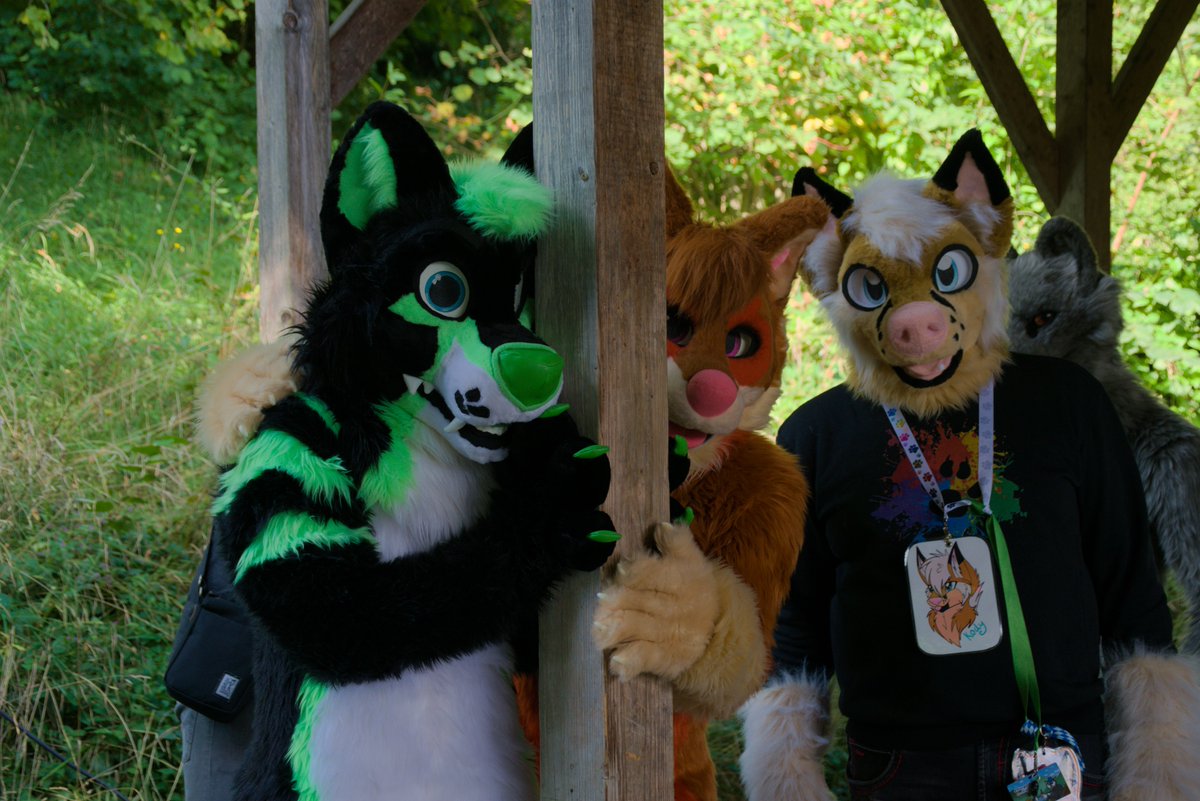 Who is trying to hide there? I clearly see <a href="/AceraWolf/">Acera Wolf</a>, <a href="/ArkonInu/">Comfy Shibe</a> and @Vulparion.

Photo by <a href="/TenzotheTiger/">Tenzo</a>.