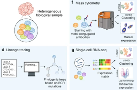 Mucosal Immunology tweet media