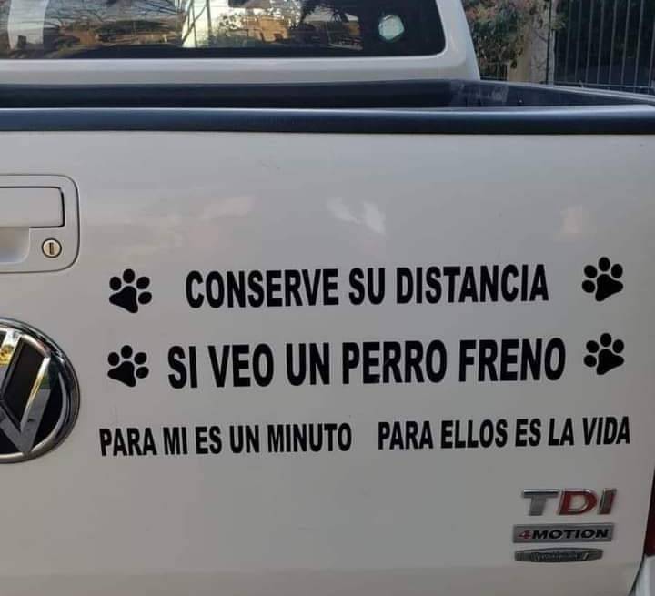 pero por supuesto!!! 🐾🐾 Déjalos cruzar
