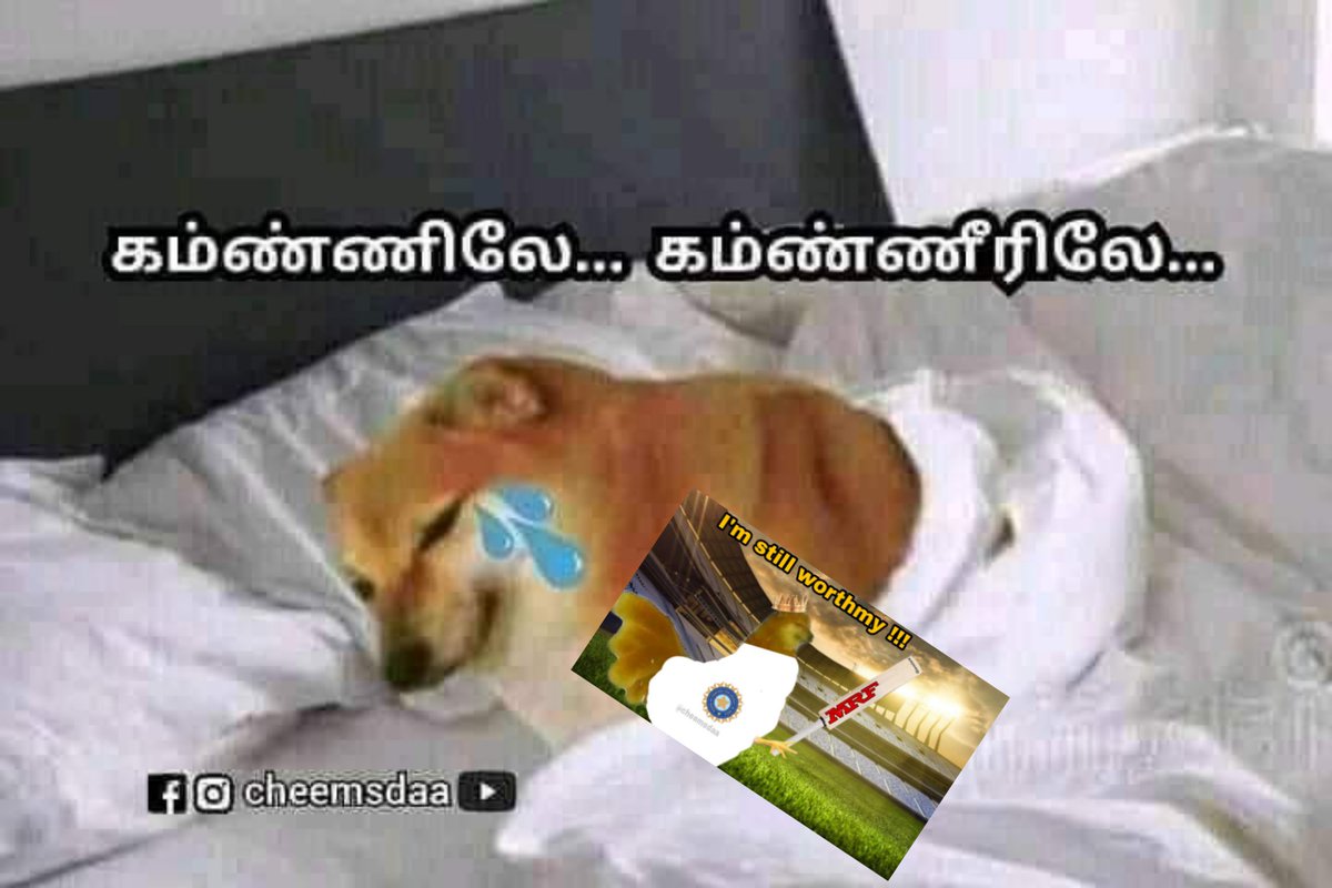 cheemsdaa's tweet photo. gud nigmht kimgs💔
#INDvsSA #viratkholi https://t.co/pyrbutBagQ