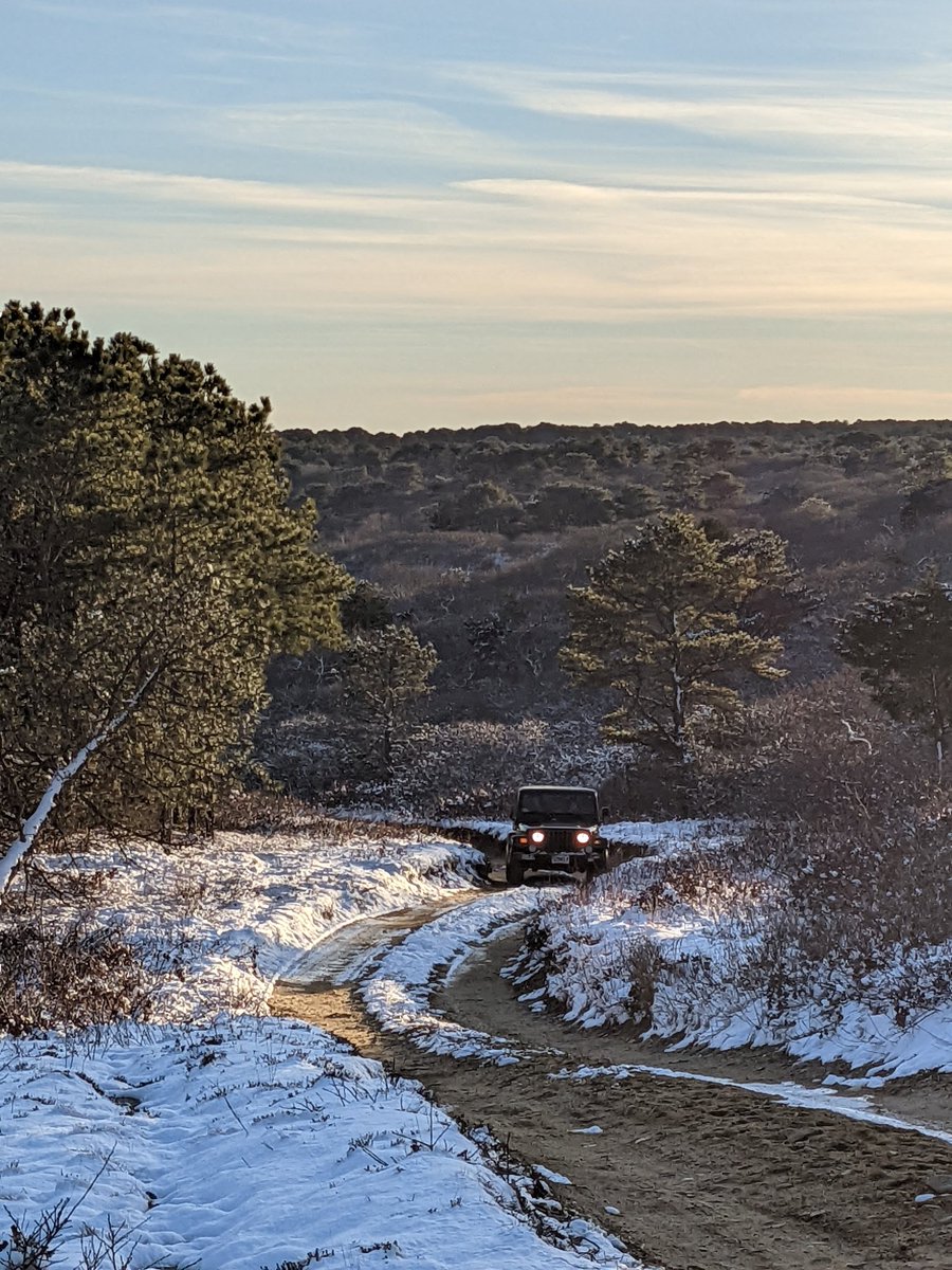Nantucket Conservation Foundation tweet media