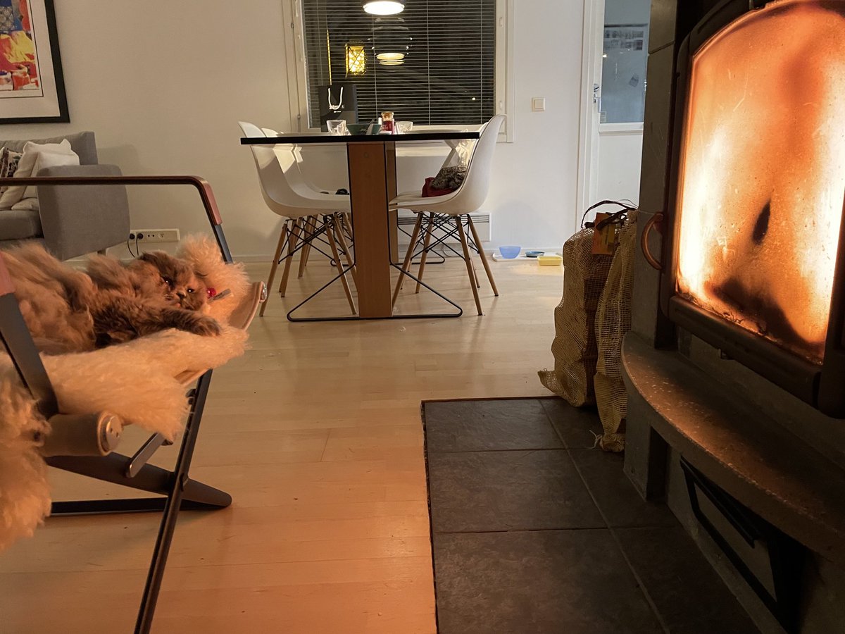 LumijarviAleksi's tweet photo. #DemandSideResponse #ElectricityMarket #Heating #Cats https://t.co/BZaUdeLhl2
