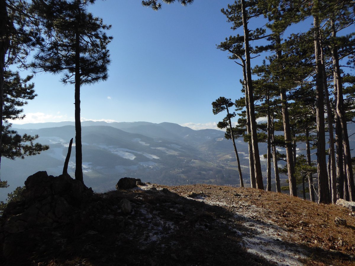 wolfratz3000's tweet photo. #Payerbach #Schedwiese #Wanderlust #KaiserInnenwetter https://t.co/aIHRTE5E2H