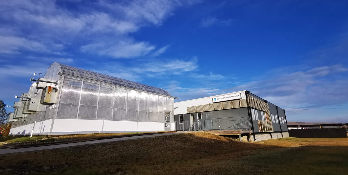 I'm looking for an experienced research associate to join our team (#NAIT Centre for Boreal Research) in Peace River, AB. Link to apply: Peatland Restoration Research Associate @ nait.startdate.ca/#/career/info/…