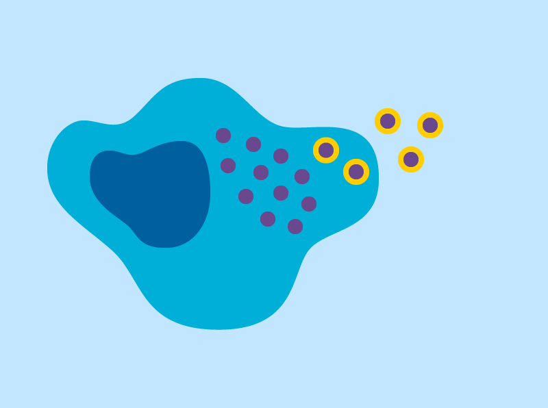 Researchers have developed a way to get #GeneEditing proteins inside cells in animal models with high enough efficiency to show therapeutic benefit. broad.io/gene-editing-0…