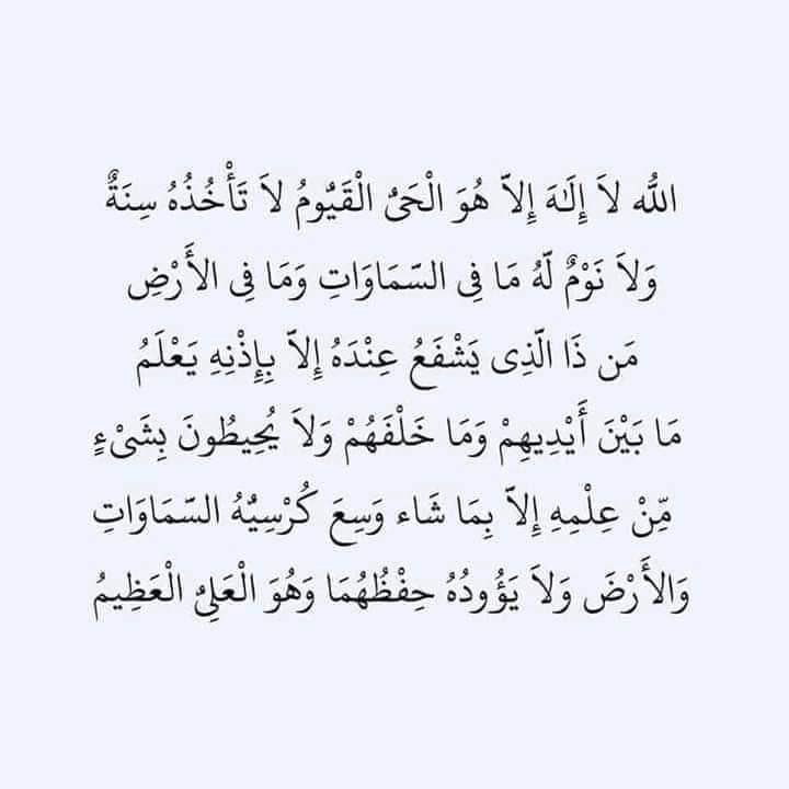 Ashour™️ tweet media