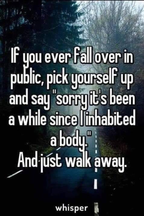 ThePhilosopurr's tweet image. I’ve done this… #Priceless #TuesdayTip 

I also have balance issues, so, I tend to wobble a lot..