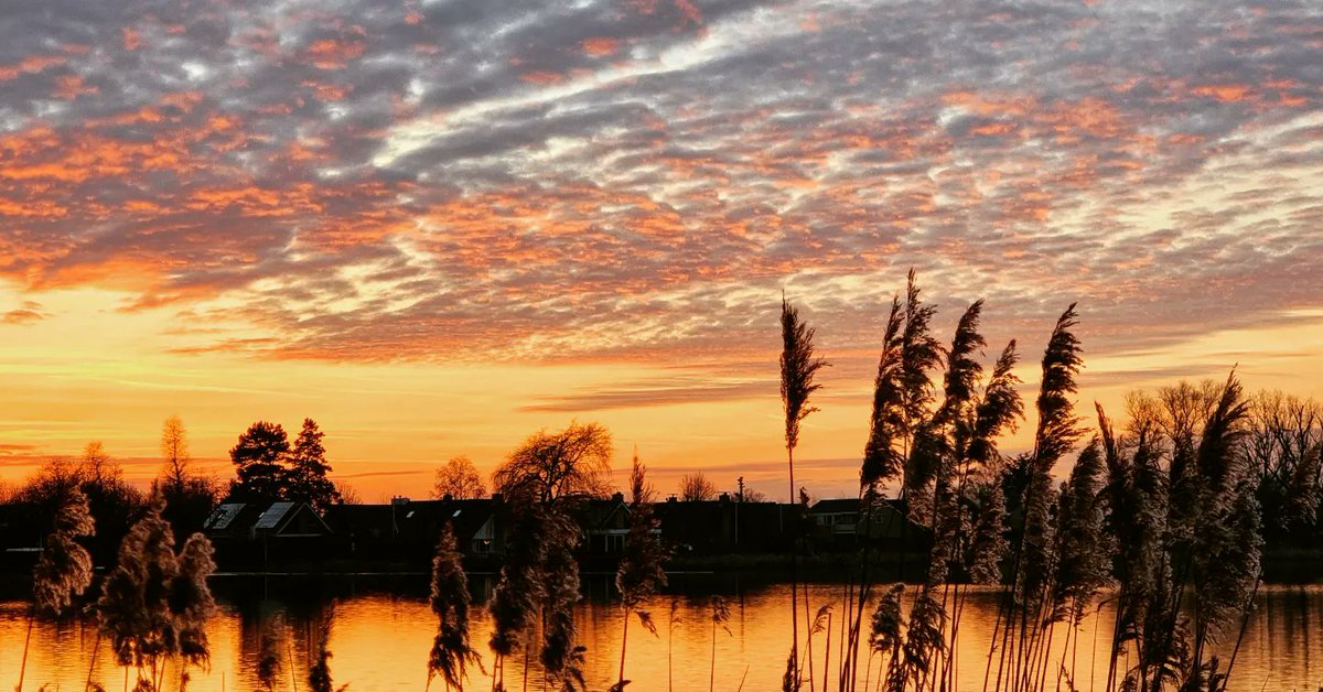 Eric IJdo tweet media