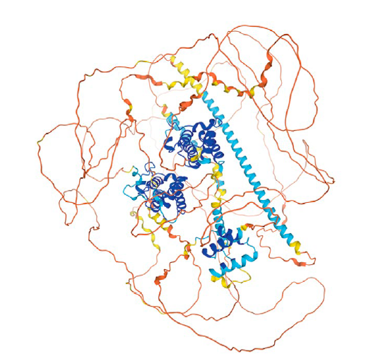 naturemethods's tweet photo. Sriram Subramaniam and Gerard Kleywegt discuss how structure prediction and cryo-EM/cryo-ET will synergize to tackle challenging biological questions regarding conformational dynamics and in situ structure analysis.
@cryoem_UBC @UBC @emblebi @PDBeudrope
https://t.co/LEw2xxwdwQ https://t.co/1rrLl9Q0Ae