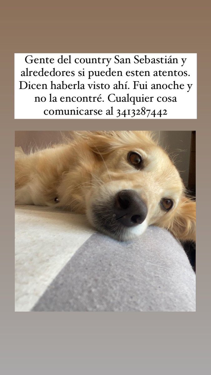 josefina tweet media