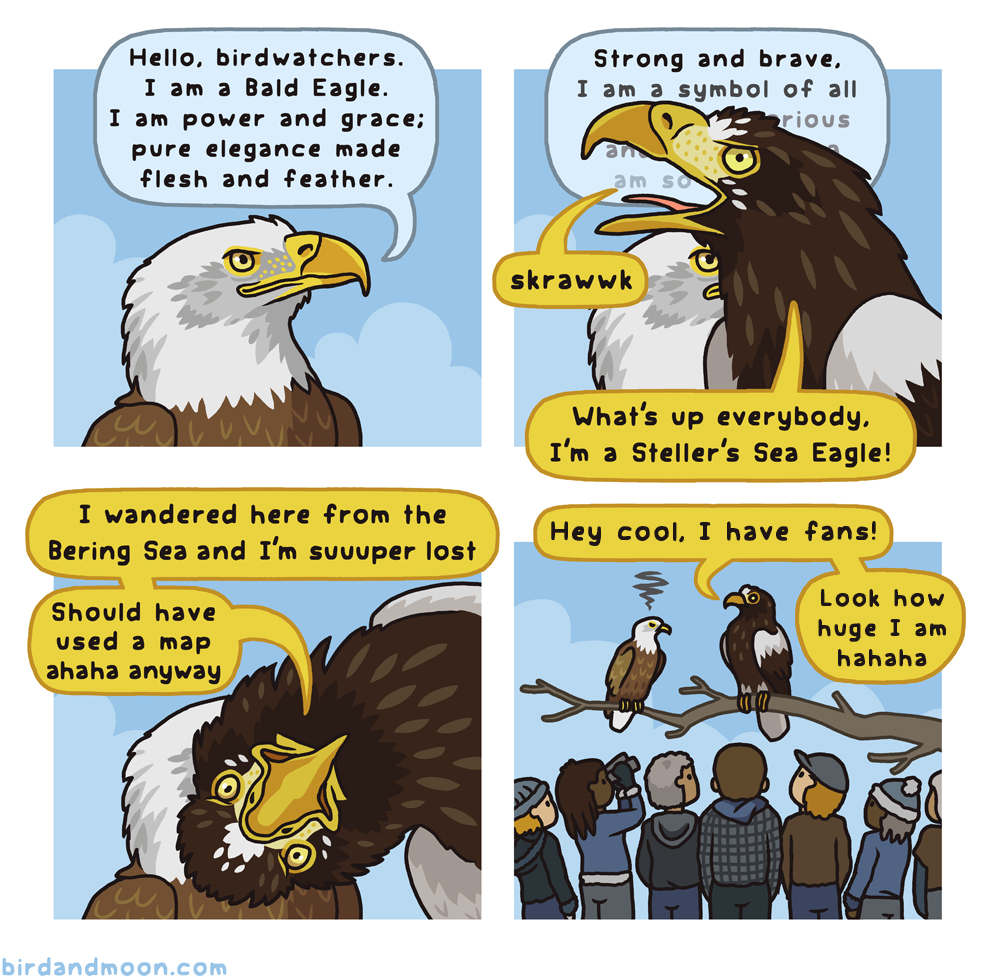 Rosemary Mosco (Bird And Moon Comics) tweet media