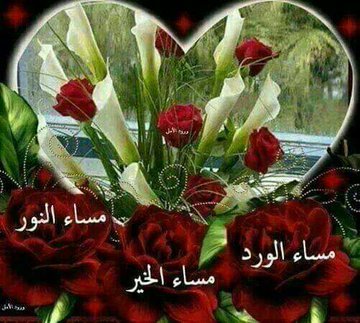 آلحيــآة مثل آلبيـآنو..
هناك أصابع بيضاء وهي (السعادة) 
وهناك أصابع سوداء وهي (الحزن)
ولكن تأكد إنك ستعزف بالإثنين 
لكي تعطي الحياة لحناًجميلاً