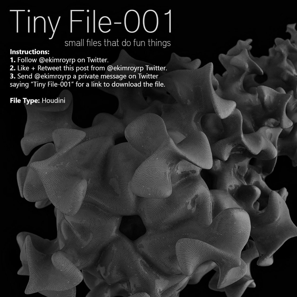ekimroyrp's tweet photo. Gonna start giving away these fun little files. This first is with Houdini. 

See instructions below!

1. Follow me.
2. Like + Retweet this post.
3. Send me a private message saying “Tiny File-001” for a link to download the file.

#Houdini #NFTs #nftart #NFTartists #educational https://t.co/hwgMOCg41a