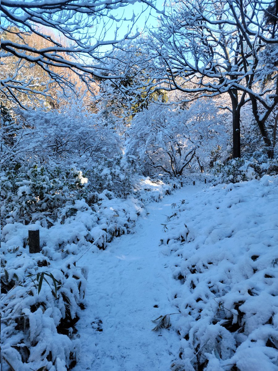 BBQ10lover's tweet photo. 先日の雪翌朝の風景
#写真好きな人と繋がりたい #写真撮るのが好きな人と繋がりたい #ファインダー越しの私の世界 #六義園 #GalaxyS21Ultra https://t.co/1T0d1wuONO