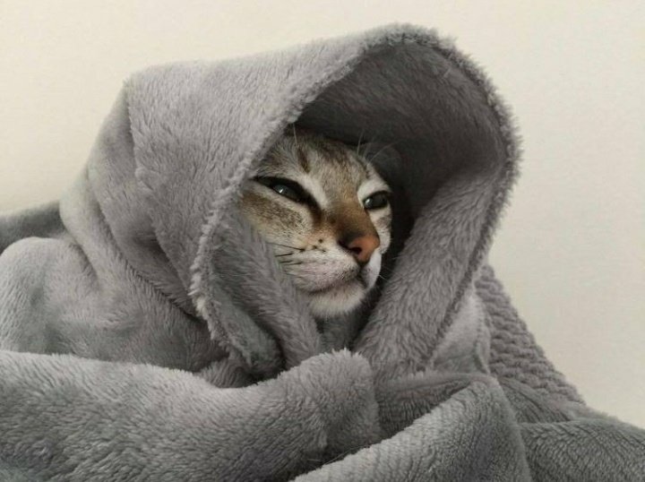 Dear sardiiii 🥶 please show thori 
narmi 🔥🥶🙏