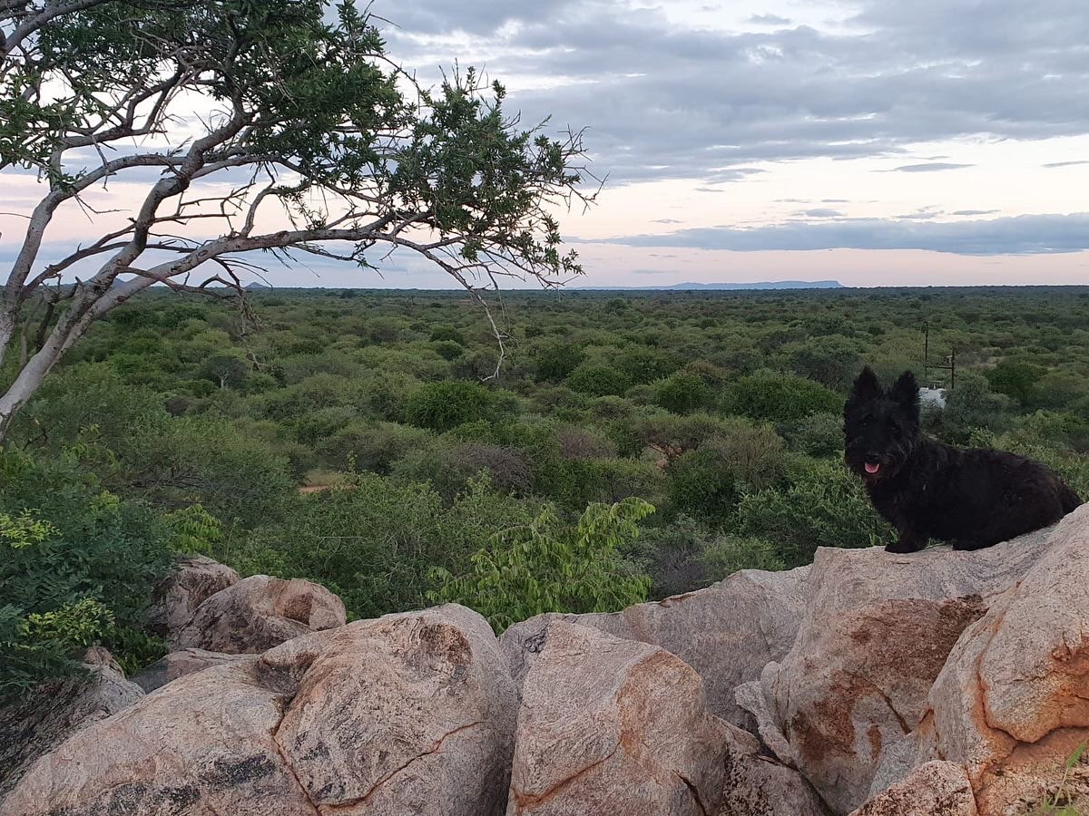 Hello 2022! 🌟January is an exciting month for us at AWCRC as we brace ourselves to say goodbye to several of our volunteers and students 😭, whilst preparing for the arrival of fresh faces 🤗!

#wildliferesearch #primateresearch #volunteering #InternationalThankYouDay