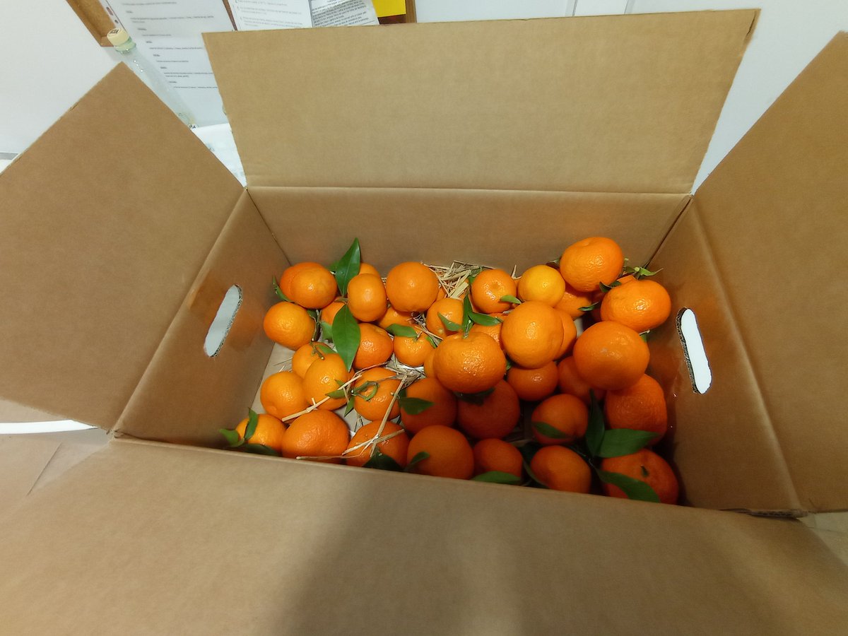 Montserrat Rius (@montserratrius) on Twitter photo Aquestes mandarines són BONÍSSIMES! Aprofiteu, que la temporada aviat s'acaba. De les Terres de l'Ebre, fem país! Merci <a href="/mercatmasroig/">Mercat Finca Mas Roig</a> <a href="/TransProCat1/">TransProCat</a> <a href="/productorscat/">Productors Catalans</a> Aquestes mandarines són BONÍSSIMES! Aprofiteu, que la temporada aviat s'acaba. De les Terres de l'Ebre, fem país! Merci <a href="/mercatmasroig/">Mercat Finca Mas Roig</a> <a href="/TransProCat1/">TransProCat</a> <a href="/productorscat/">Productors Catalans</a>