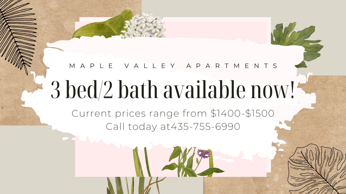 MapleValleyUT's tweet image. 