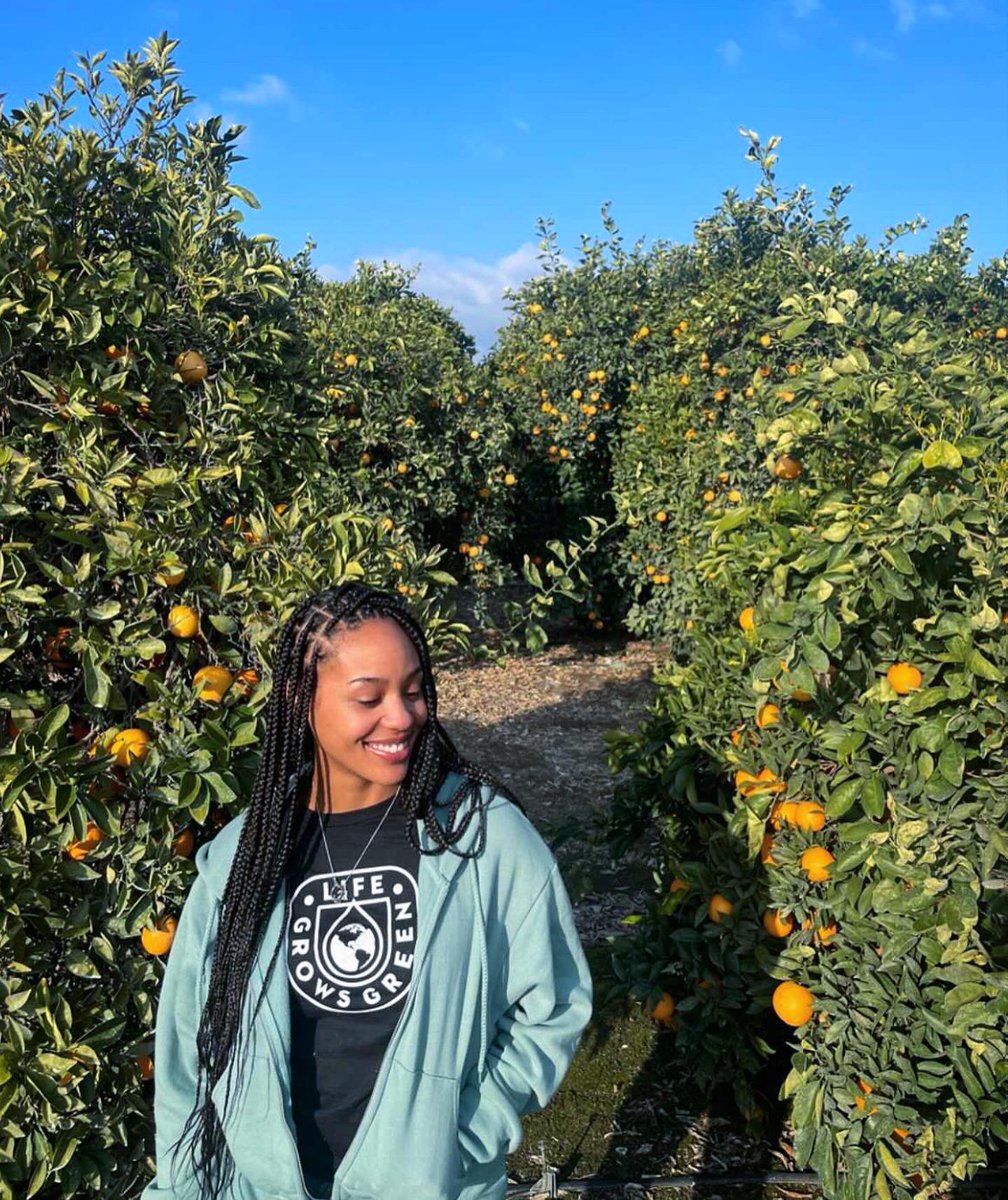 Orange grove glow! Feel the zest for Life Grows Green. 🌿🍊

Lifegrowsgreen.com 

#lifegrowsgreen #lgg #orange #cbdoil #naturelovers <a href="/RealChadPrice/">Chad Price</a> <a href="/bsnscnslt/">BusinessConsultant</a>