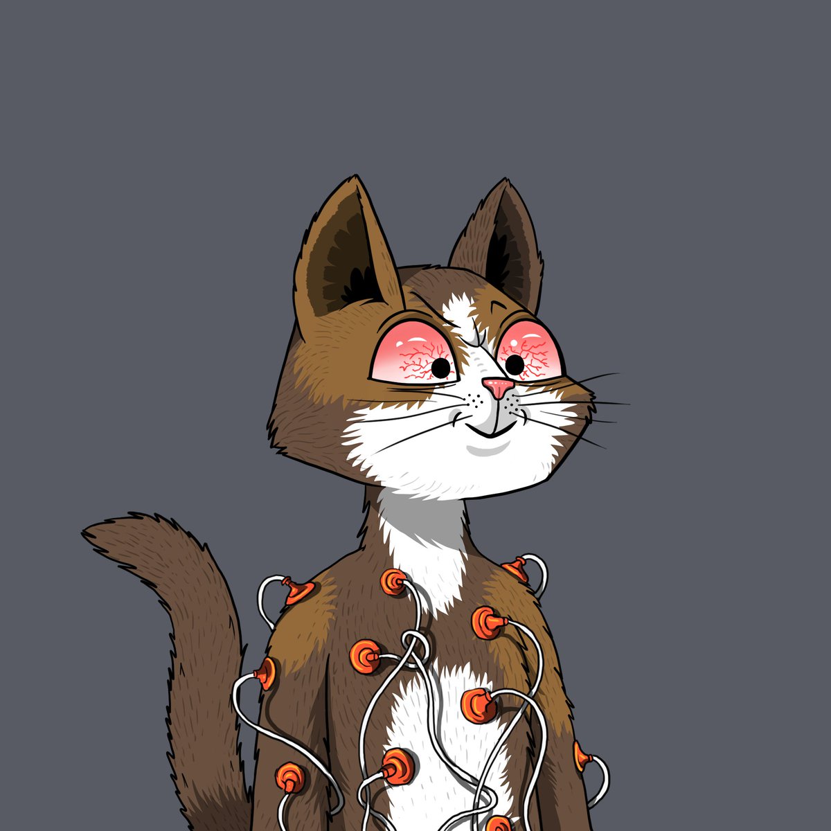 MarsCatsVoyage's tweet photo. This sensor #MCV cat has been experimenting with catnip on the voyage. CASA is gathering valuable data. Let’s show your sensor cats and tell us what experiments they participate in. https://t.co/mPesziTRmA