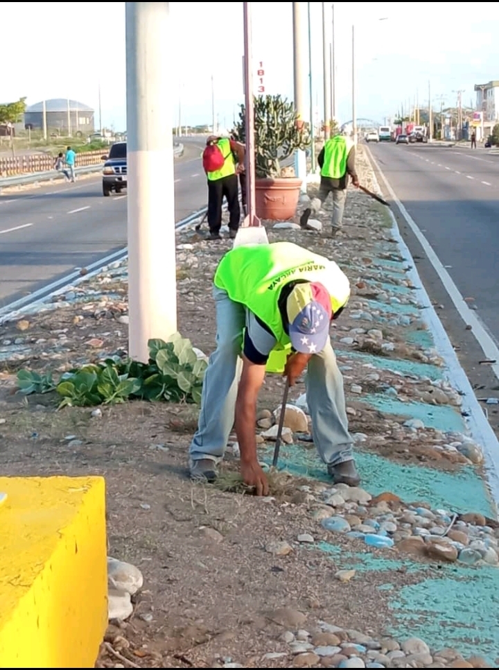 alcaLosTaques's tweet photo. Gracias al esfuerzo mancomunado del Gobernador Víctor Clark y la Alcaldesa María Arcaya, se dio inicio al Plan “Conservemos Nuestros Espacios” que consiste en el saneamiento, desmalezamiento y embellecimiento de los espacios públicos del Municipio. https://t.co/OwU2Z2fO3V