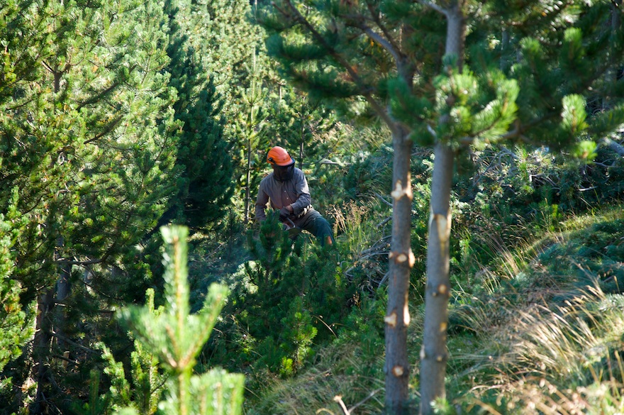 Alameda Torrent SLU tweet media