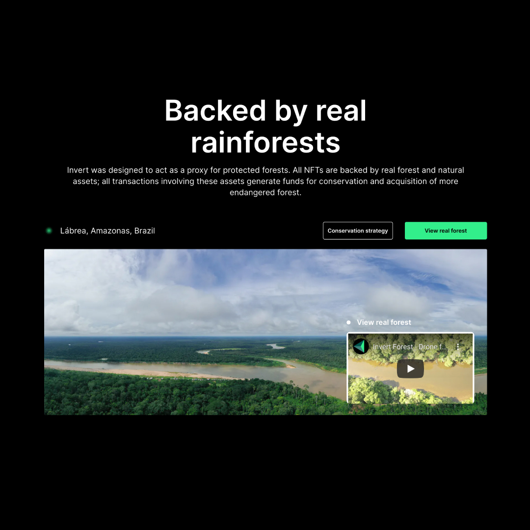 invert tweet media