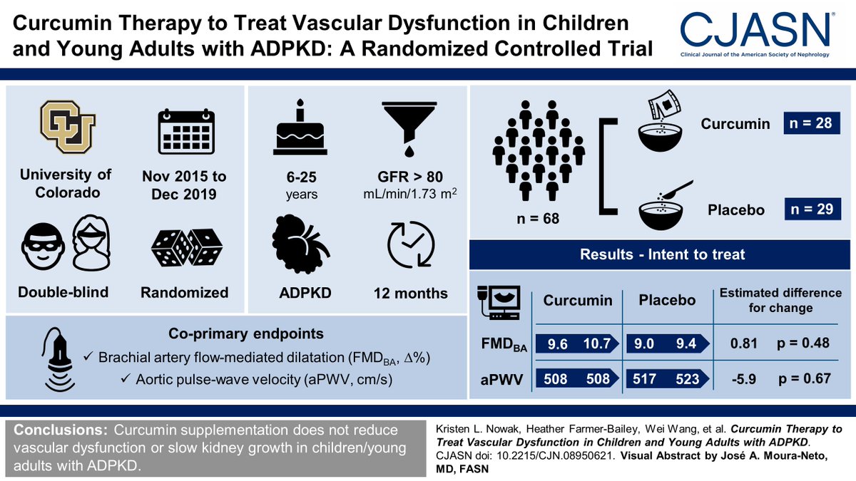 Curcumin is a polyphenol that reduces vascular dysfunction in rodent models and humans without ADPKD. This study found that curcumin supplementation does not improve vascular function or slow kidney growth in children/young adults with ADPKD bit.ly/CJN08950621