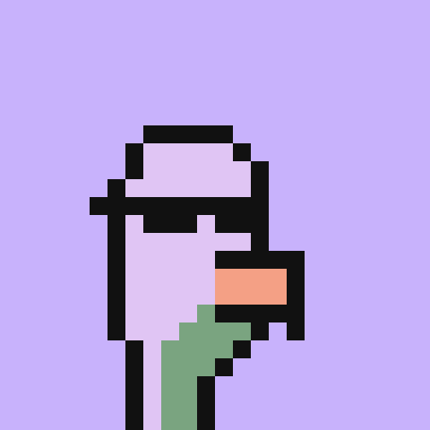 SWOOLOO_sol's tweet photo. CAWWWWW! Super hyped to have joined the @thugbirdz community https://t.co/oXAkgl2xPn