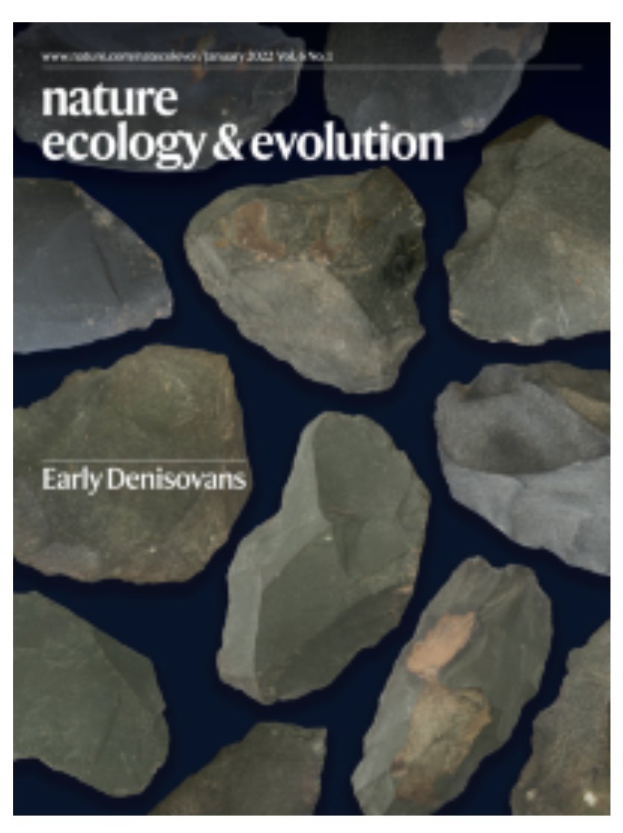 Katerina__Douka's tweet image. Our Early Denisovans and their lithics (rdcu.be/cB2U4) made the Jan @NatureEcoEvo cover! Happy New Year - with more discoveries! #FINDER_project @ERC_Research &amp;amp; @IAET_SBRAS__NAP @MPI_SHH @MPI_EVA_Leipzig @HeasVienna with @tommyhigham @PalaeoTwit @Diyendo, Maxim Kozlikin