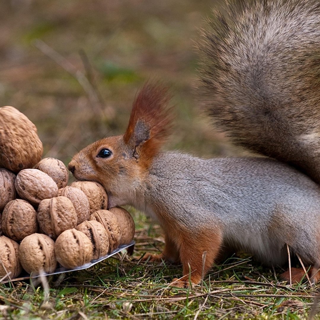 RiteBoost's tweet image. Never Run Out of Remarkable #ContentIdeas with This #ProvenSystem 📚 💡 rite.link/Xgur 👈🏼  learn how to #advertise on any type of content! #adtech