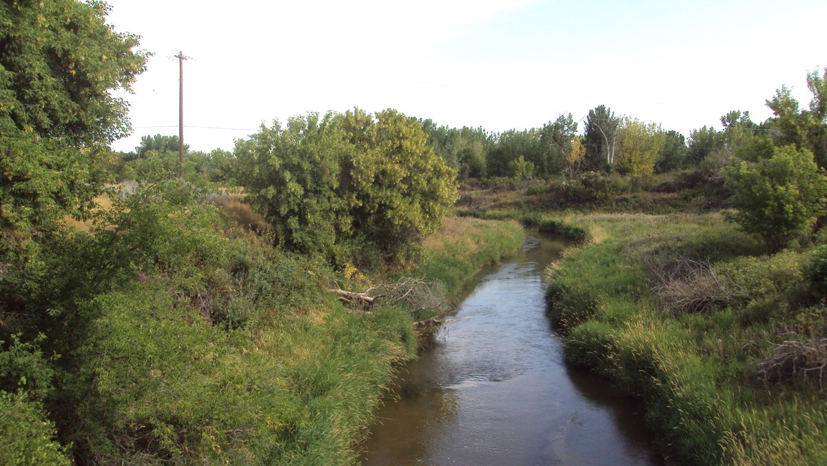 Interested to learn about #riparianareas and #riparianplants in this semi-arid region of Southeastern AB? We have recently updated our booklet: Riparian areas & riparian plants in Seven Persons Creek Watershed: seawa.ca/assets/media/d…