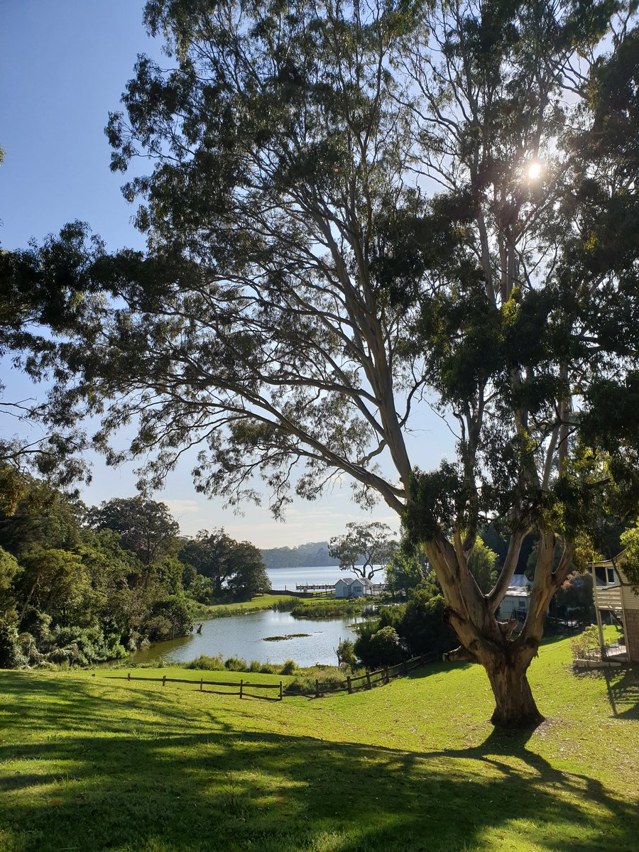 Silverquick13's tweet image. #HappyStuff
Beautiful Meetung!