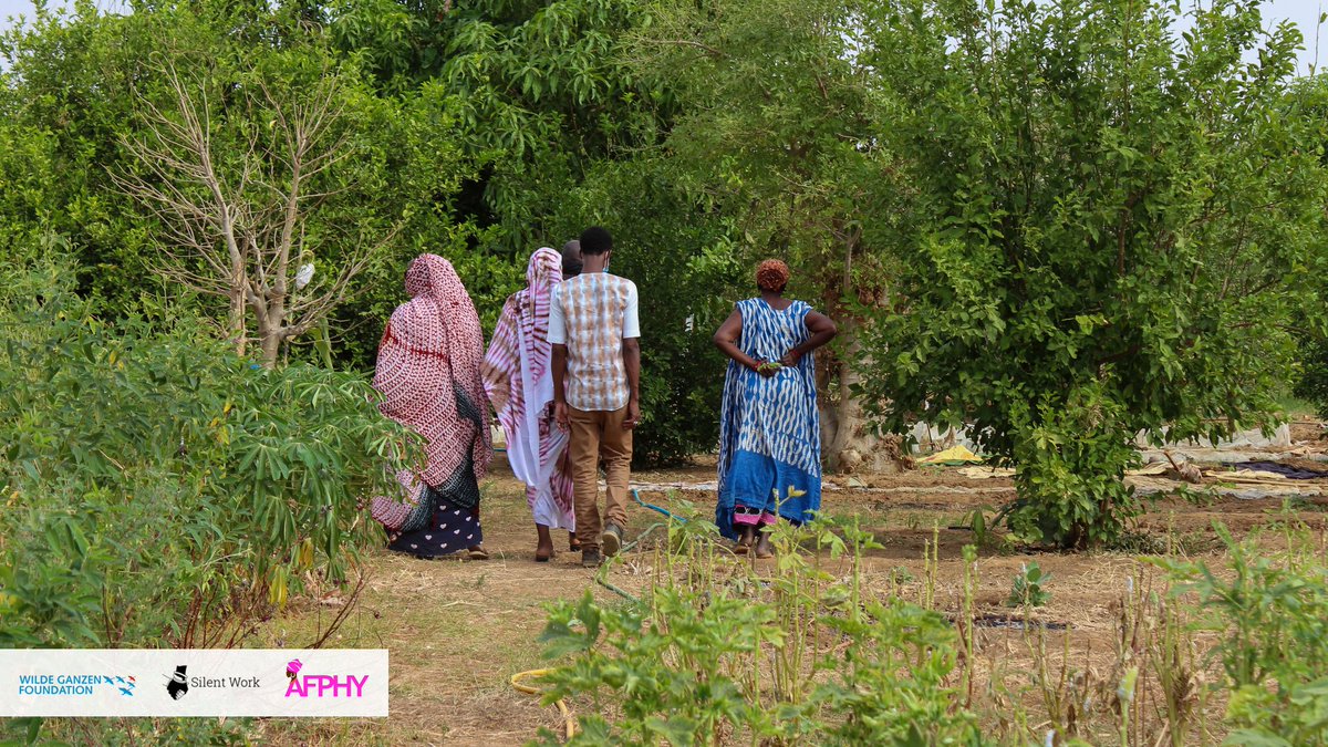 AFPHY1's tweet photo. WAJE

Dans le cadre du projet WAJE (women agriculture Job Empowerment) AFPHY a organisé une mission pour labourer les terres afin de démarrer la saison des Pépinières. 
#womenemporwent #waje #afphy #silentwork #wildeganzen https://t.co/PsRDqsLR7b