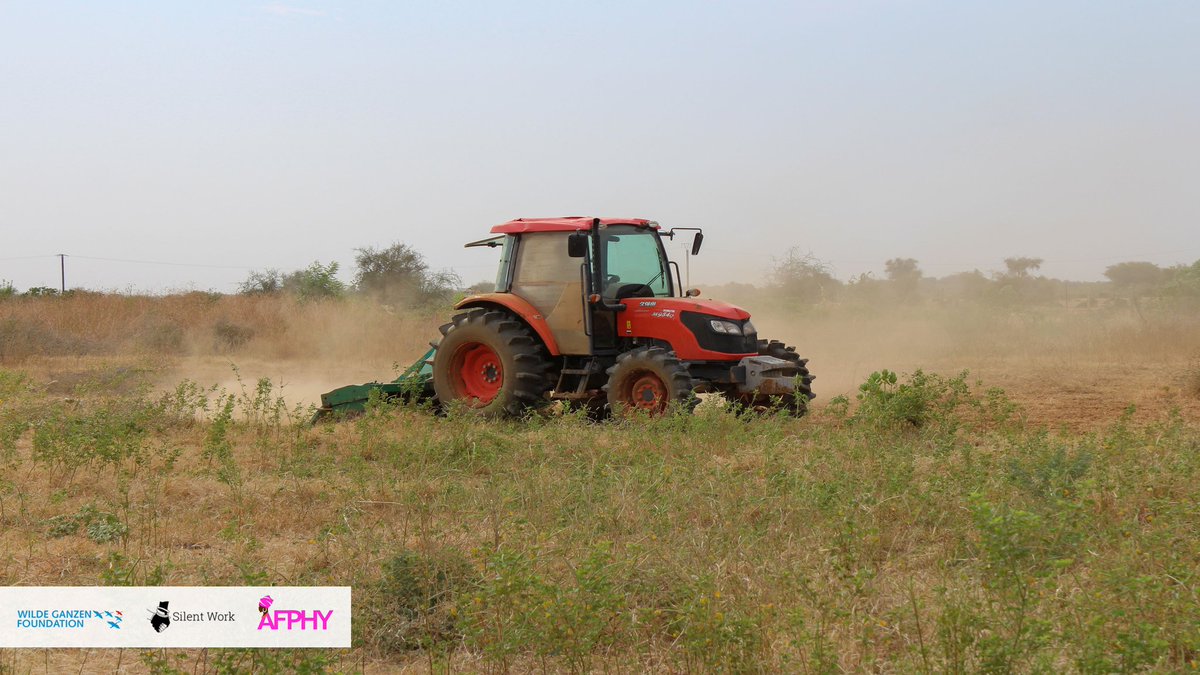 AFPHY1's tweet photo. WAJE

Dans le cadre du projet WAJE (women agriculture Job Empowerment) AFPHY a organisé une mission pour labourer les terres afin de démarrer la saison des Pépinières. 
#womenemporwent #waje #afphy #silentwork #wildeganzen https://t.co/PsRDqsLR7b