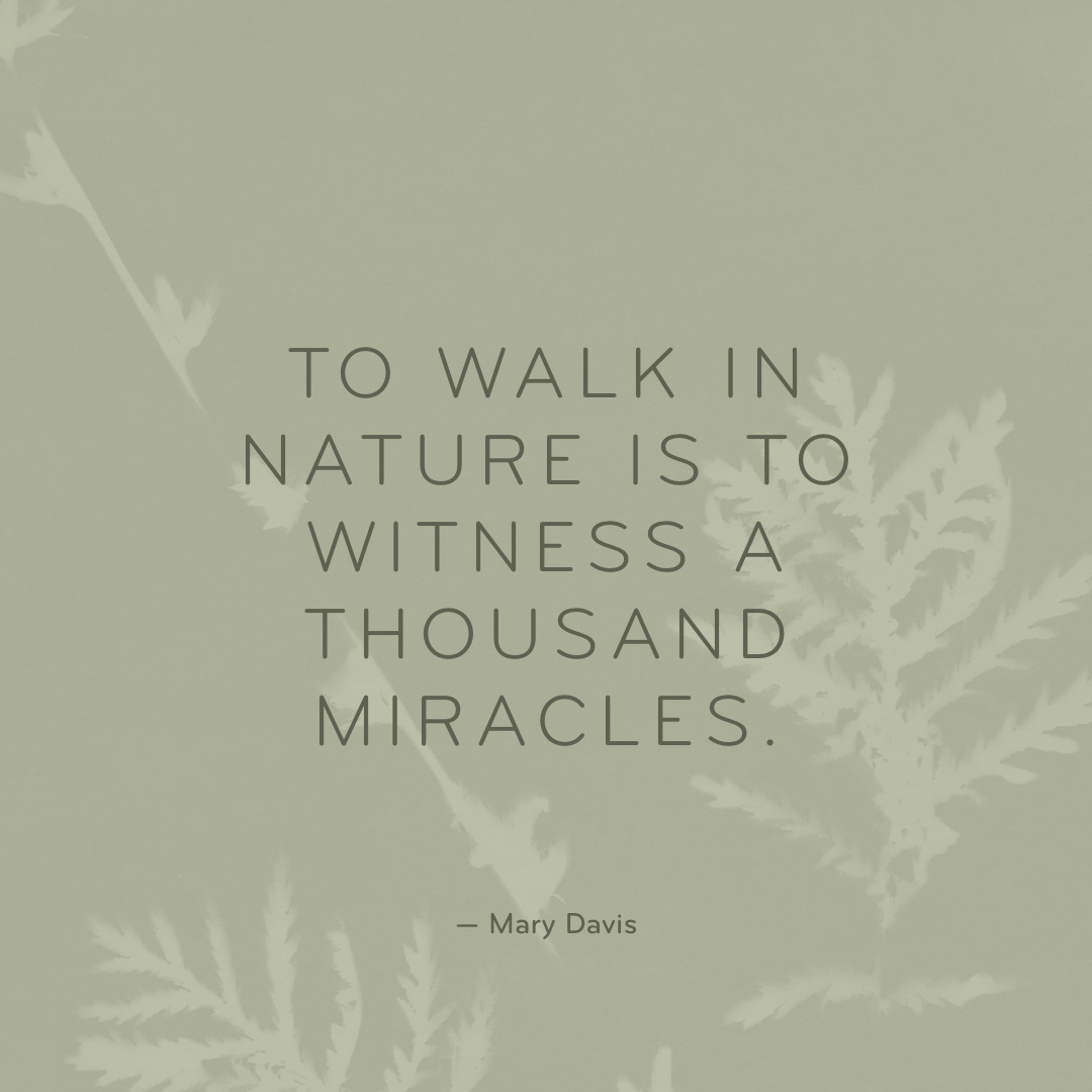 Go_Girls's tweet image. "To walk in nature is to witness a thousand miracles"

-Mary Davis🌲
