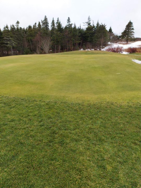 pippy_park's tweet photo. Still looking great in January!
#golf #pippyparknl #18hole #9hole #golfing #explorenl #atlanticcanada #eastcoastcanada #stjohnscaptured #stjohnsnewfoundland https://t.co/dReyDCDezk