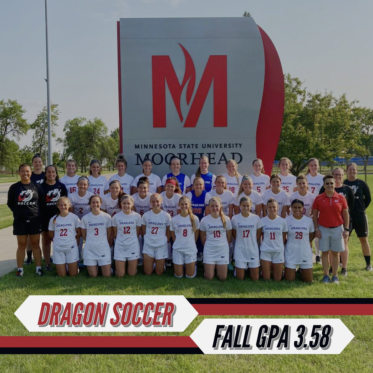 dragons working hard in the classroom 📚