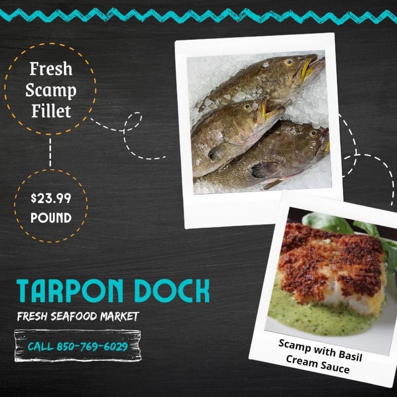 Tarpon Dock Seafood Market tweet media
