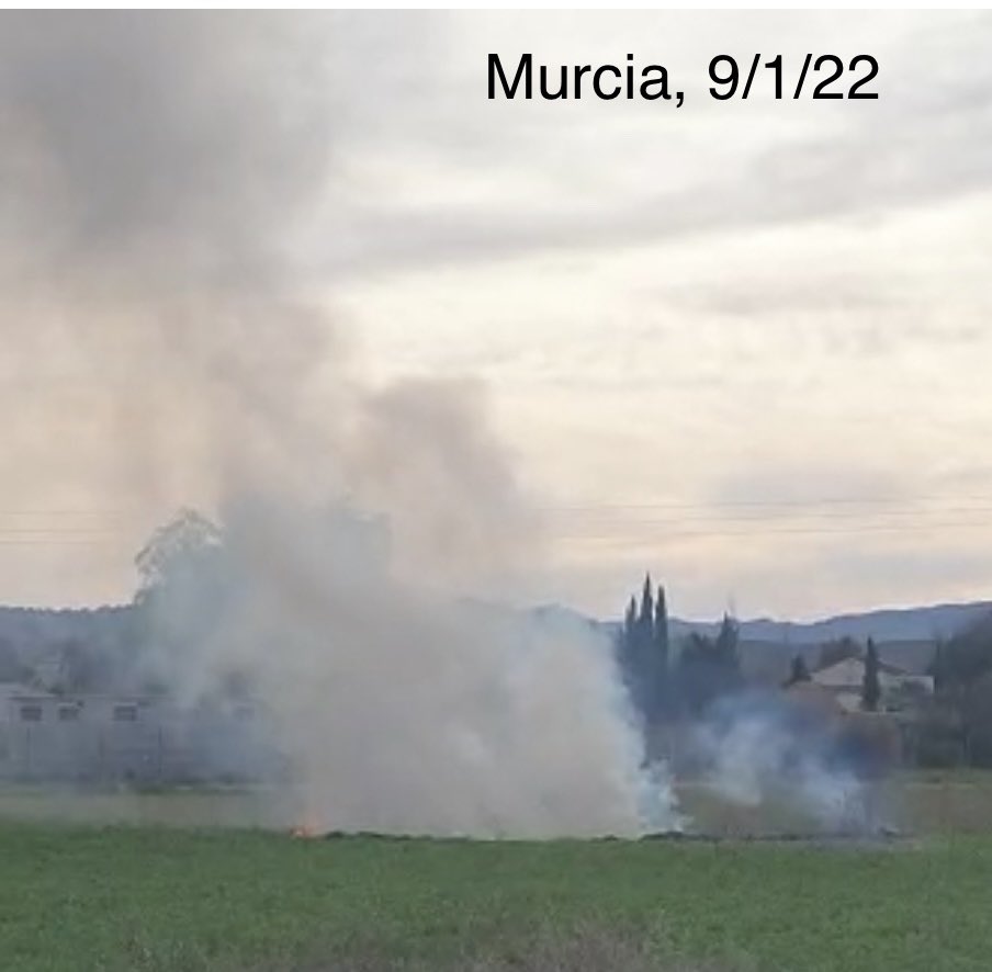 esther52269078's tweet photo. @VSinkevicius @LopezMirasF @EU_ENV @ComisionEuropea @EU_MARE @EUClimateAction @UNBiodiversity @EUAgri @WWFEU @WWFespana @LIFEprogramme @EU_EISMEA 😳‼️Here there is a green light to pollute.  Our president does absolutely nothing to prevent it.  Pollution by land, sea and air is unbearable. Another example is the constant non-compliance with the European Directive on Waste.  Look what they force us to breathe EVERY DAY 😰🙏🏾 https://t.co/DjgqoqjSwV
