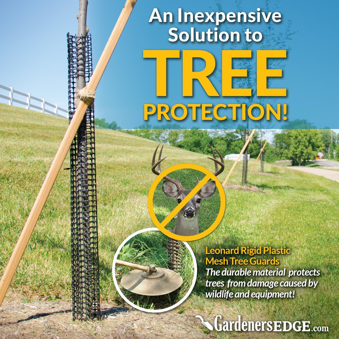 gardenersedge's tweet photo. The flexible UV-treated plastic guards install easily and blend into the environment. They prevent deer, squirrels, rabbits, and woodchucks from rubbing or chewing on your trees. 
https://t.co/CD8PX4nZfY https://t.co/y5aN7Nu0VP