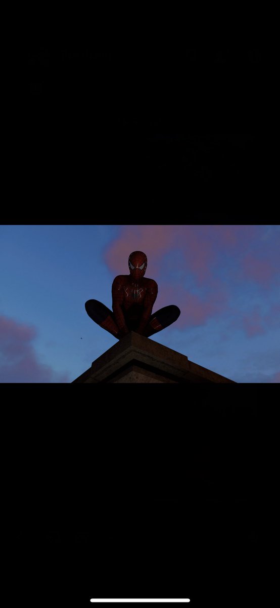 dans_lost_again (@mydogatemydan) on Twitter photo 